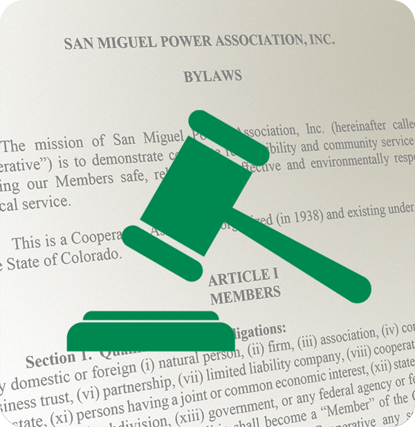 Gavel icon above Bylaws page