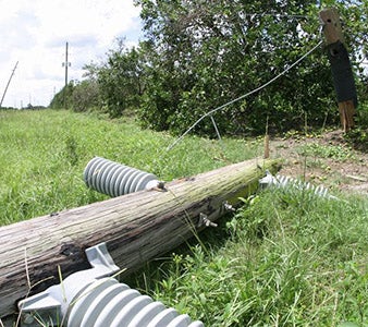 Downed Power Line