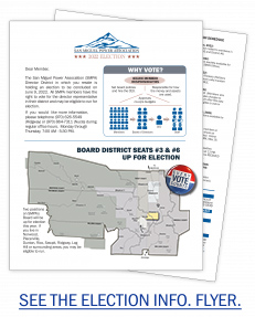 See the Election Information Flyer