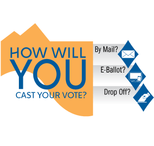 Voting Options Graphic
