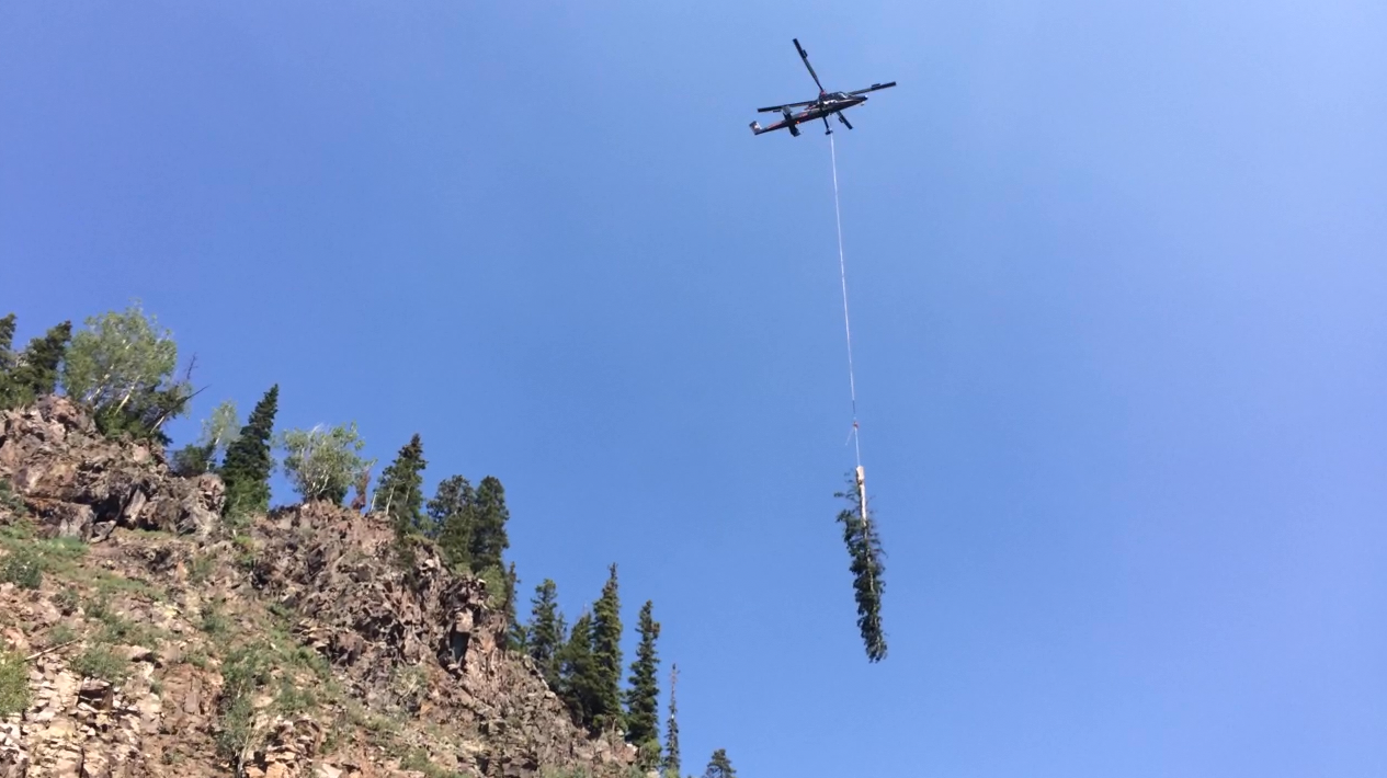 Vegetation Removal by Helicopter Lift