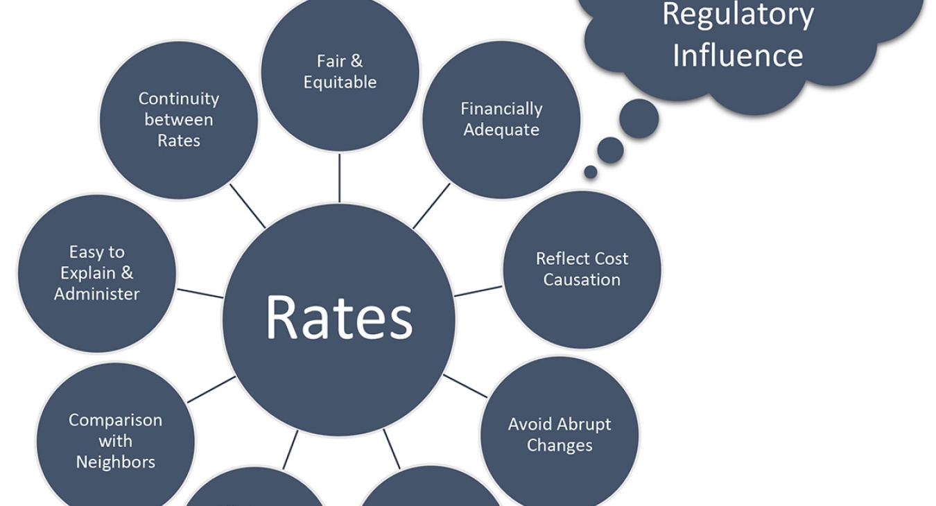 Graphic showing the various factors affecting rate design